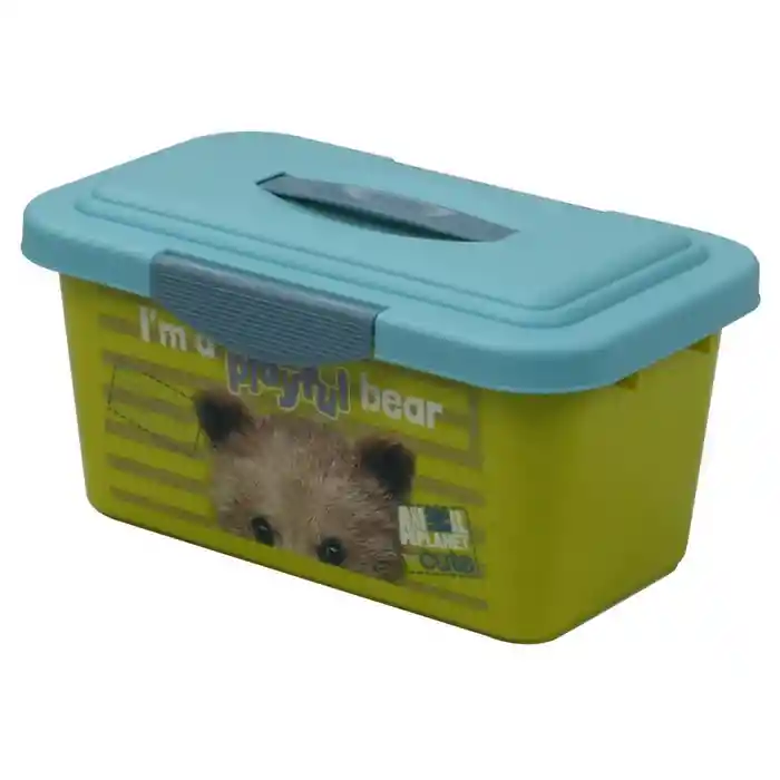 Caja Plastica 6Lt Kids Boy Ap