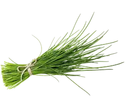 Vegus Ciboulette Organico