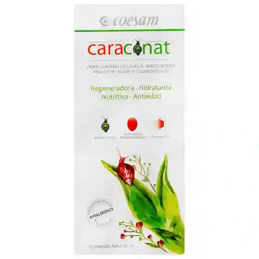 Caraconat Crema Caracol