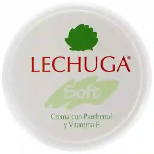 Lechuga Crema Soft