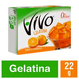 Vivo Gelatina Sabor a Naranja