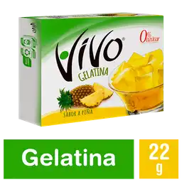 Vivo Gelatina Sabor Piña