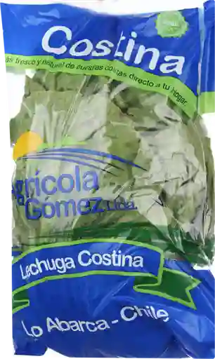 Agrícola Gómez Lechuga Costina