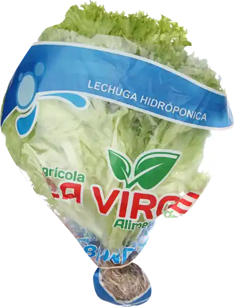 La Virge Lechuga Hidroponica Lollo Bionda Extra