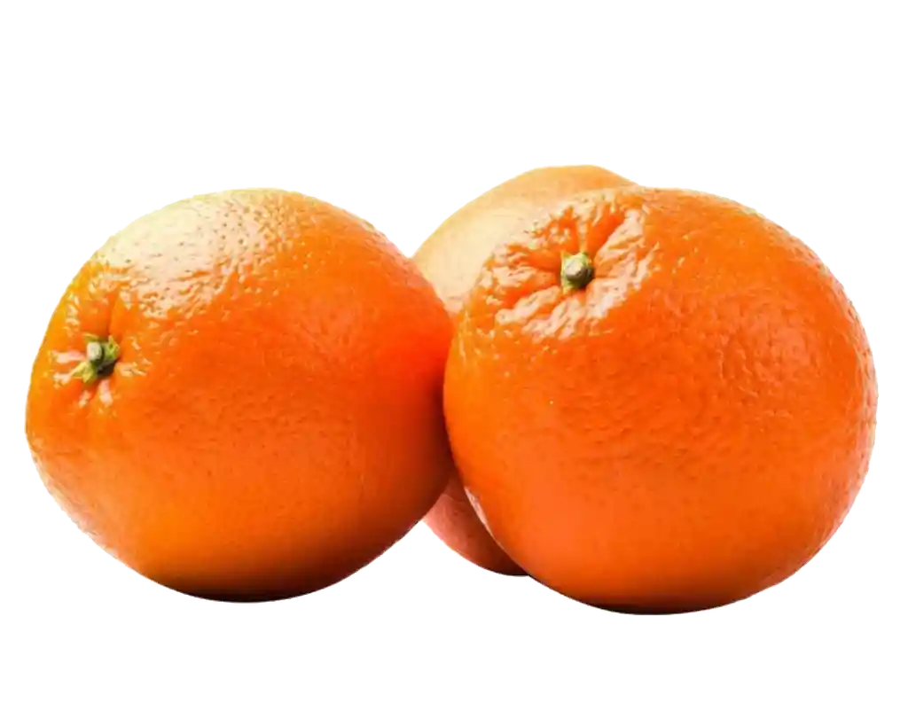 Naranja Orgánica Malla