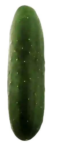 Jumbo Pepino Ensalada