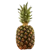 Jumbo Piña Calibre 7