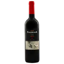 Falernia Vino Tinto Merlot Reserva 