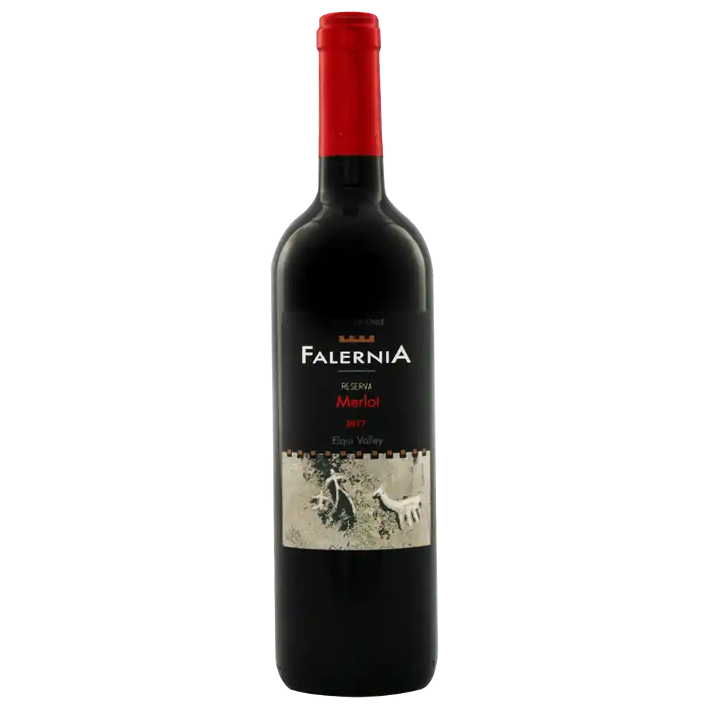 Falernia Vino Tinto Merlot Reserva 750 cc