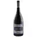 Casas Del Toqui Vino Tinto Gran Toqui Syrah Botella