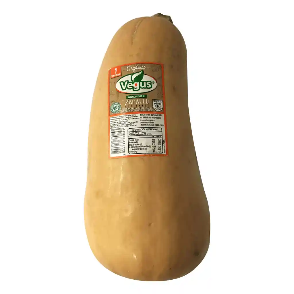 Vegus Zapallo Butternut Organico Un