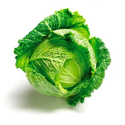 Otros Repollo Crespo Envasado