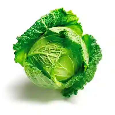 Otros Repollo Crespo Envasado