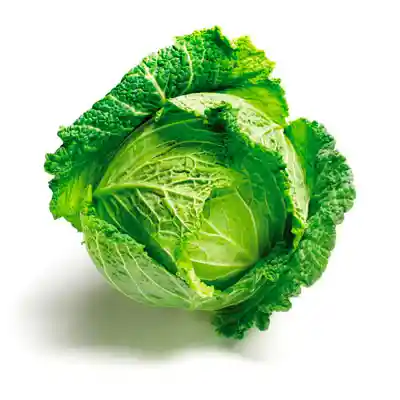 Otros Repollo Crespo Envasado