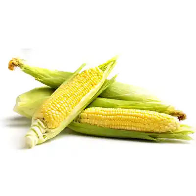 Choclo Dulce Bandeja