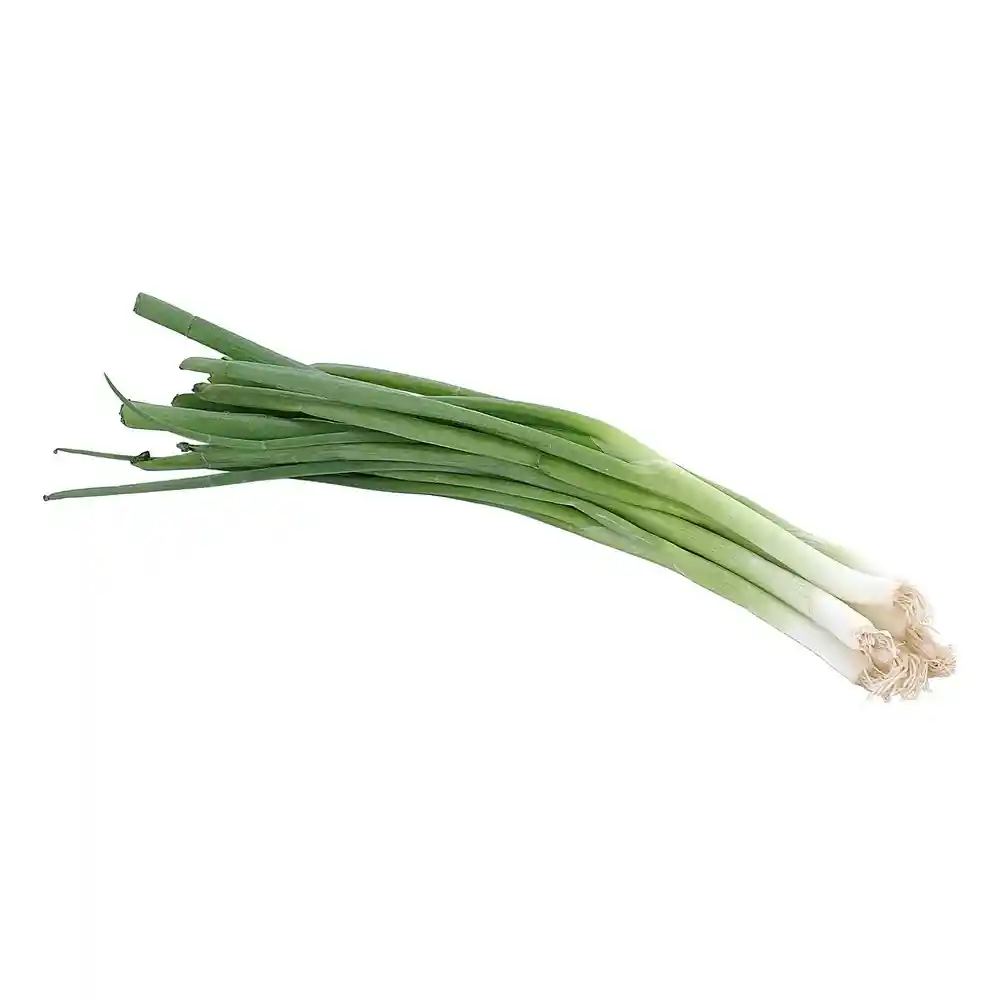 Unimarc Cebollin Bolsa