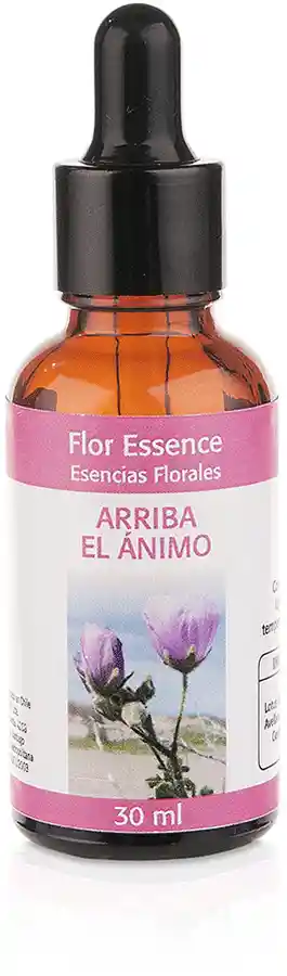 Vitaminas y Minerales Flor Essen.gts.a.animo 30