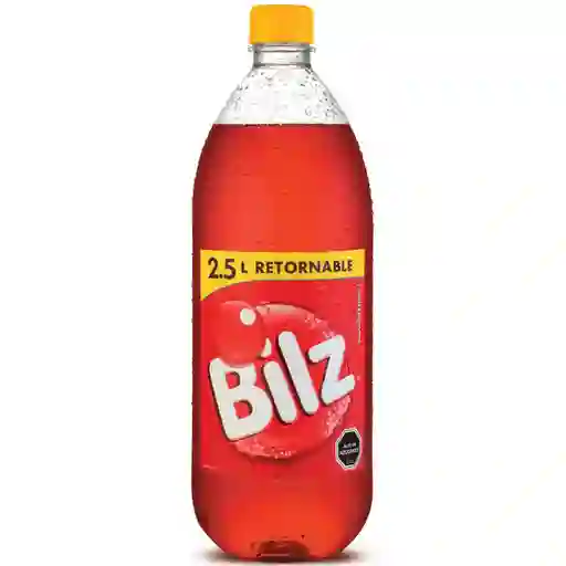 Bilz Refresco Retornable