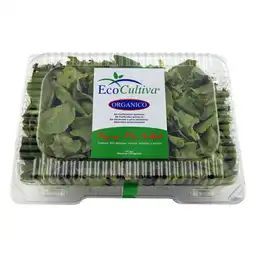 Eco Cultiva Spring Mix Salad 