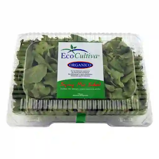 Eco Cultiva Spring Mix Salad 