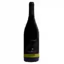 William Cole Vino Pn Bot