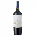 Concha Y Toro Vino Novas Car Cabernet