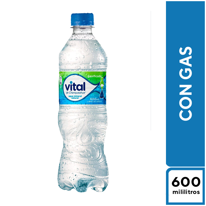 Agua Mineral Vital 500 ml