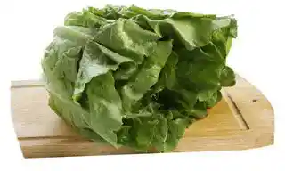 Lechuga Española