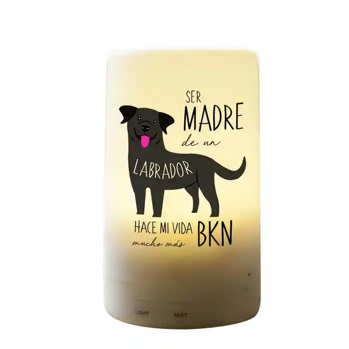 Humidificador Labrador Retriever Negro