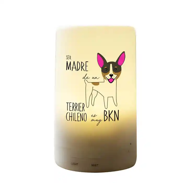 Humidificador Terrier Chileno