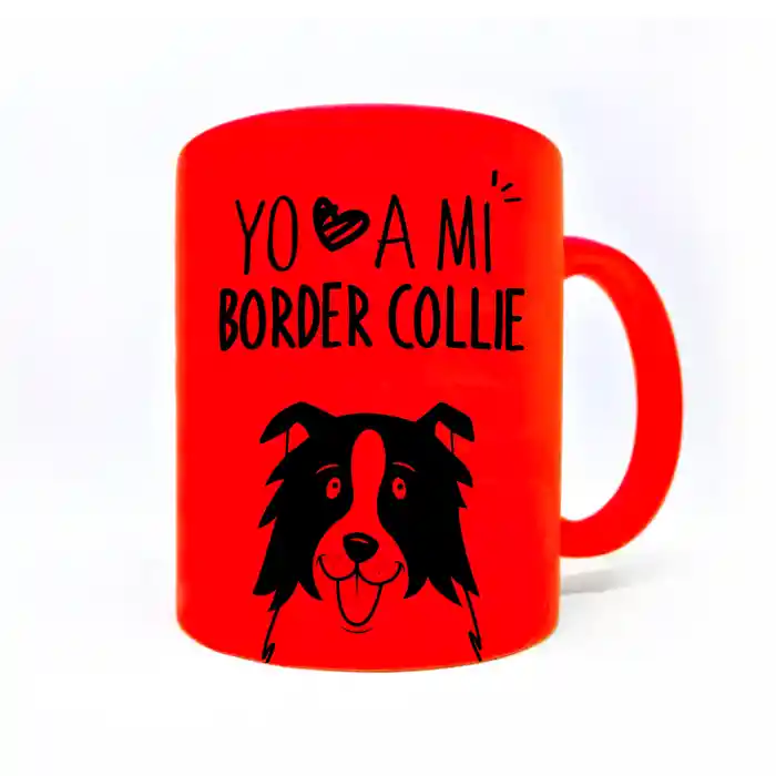 Tazon Flour Naranjo Border Collie