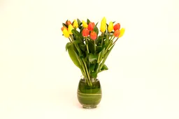 Armonía en tulipanes