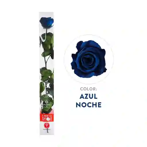 Rosa Preservada Acrilica Azul Tallo Largo