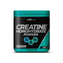 Ntg Sport Creatine
