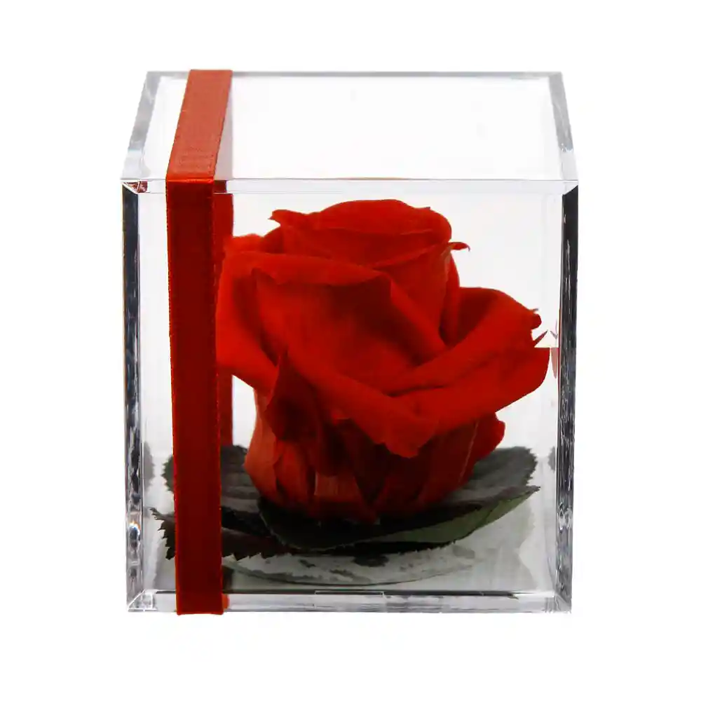 Rosa Preservada Roja en Cubo Acrílico