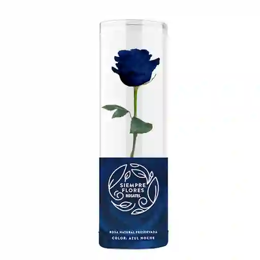 Rosa Preservada Azul Short 100% Natural