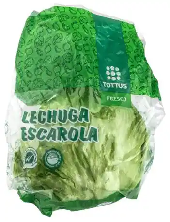 Lechuga Escarola