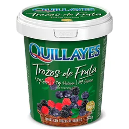 Quillayes Yogurt con Trozos de Berries
