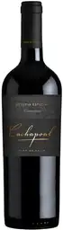 Cachapoal Vino Tinto Reserva Especial Carmenere