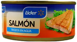 Salmón Trozos En Agua