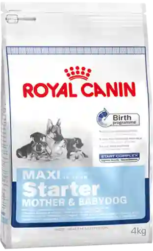 Royal Canin Maxi Starter 10Kg