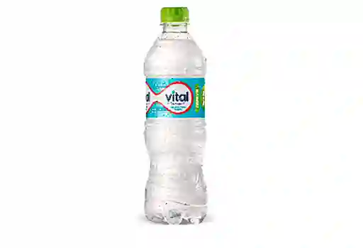 Agua Mineral 500 Cc