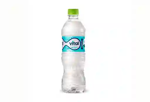 Agua Mineral 355 ml