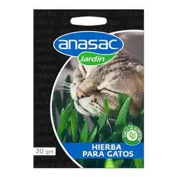 Semilla Hierba Gatos 20 g