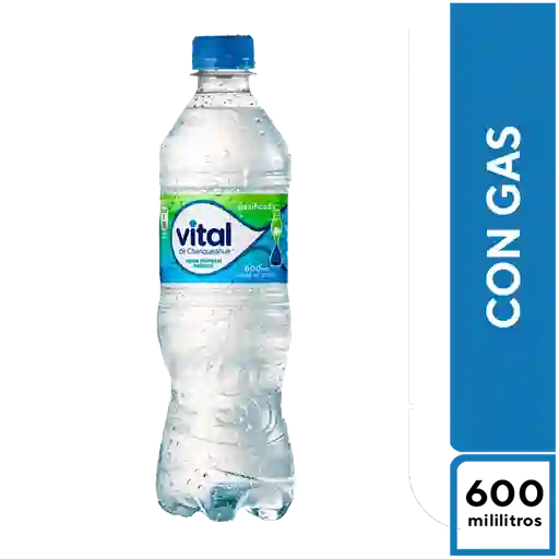 Agua Vital con gas 600 ml