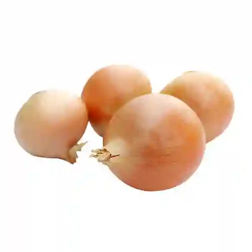 Lider Cebolla Malla Cebolla