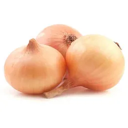 Lider Cebolla Pickera Malla Cebolla