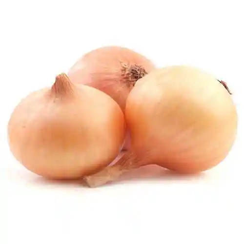 Lider Cebolla Pickera Malla Cebolla