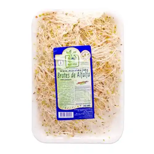 Mas Vida Brotes De Alfalfa
