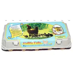 Gallina Feliz Huevos Pollita